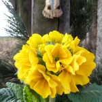 Gerntaler Kreuz (2 von 4)