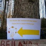 Osterhase Kindergarten (11 von 13)