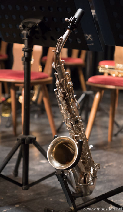 Vorm boehmischen Konzert (4 von 8)