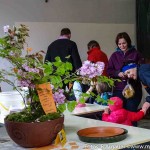 Kirtag Moosdorf (12 von 41)