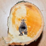 Kunst im Baum (1 von 2)