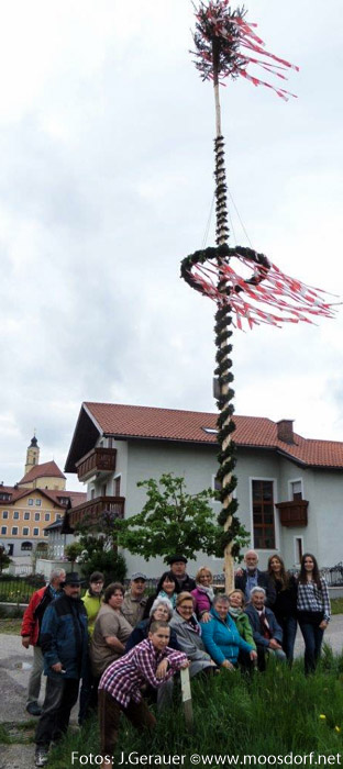 Maibaum Mühlbach (3 von 6)