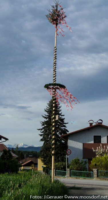 Maibaum Mühlbach (5 von 6)