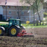 Umschwärmt (4 von 6)