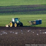 Umschwärmt (6 von 6)