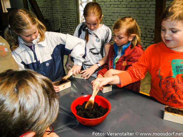 Besucher Moormuseum (1 von 6)