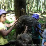 Jäger im KIndergarten (11 von 17)