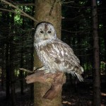 Jäger im KIndergarten (3 von 17)