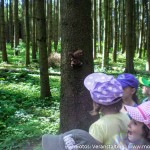 Jäger im KIndergarten (7 von 17)