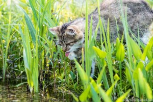 Ruhiges Wochenende (5 von 8)