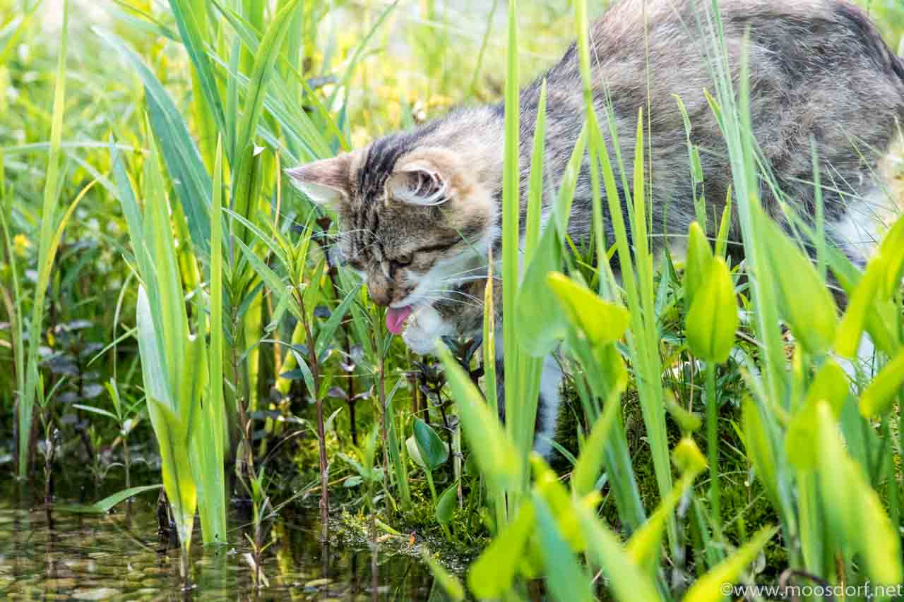 Ruhiges Wochenende (5 von 8)