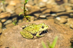 Ruhiges Wochenende (6 von 8)
