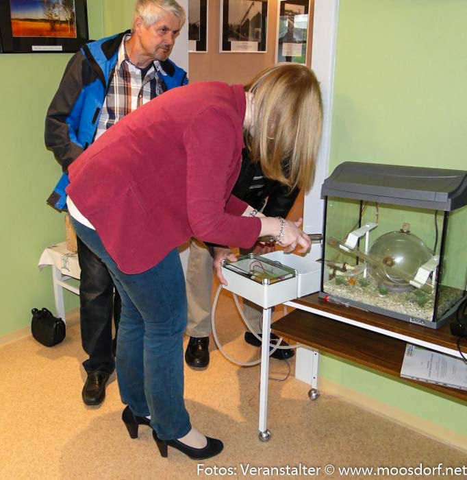 Wasserschlauch Modell Moormuseum (5 von 9)