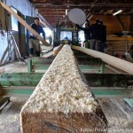 Dreh Saegewerk (10 von 17)