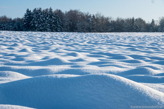 Moosdorf kocht (1 von 1)