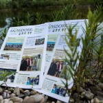 Sommerbote (1 von 1)