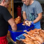 Ellingfest 2015 (1 von 20)