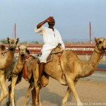 Kamelrennen005