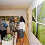 Vernissage Eggelsberg (9 von 12)