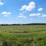 Weg zu Erntedank (11 von 18)