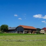 Weg zu Erntedank (14 von 18)