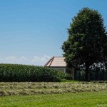 Weg zu Erntedank (15 von 18)