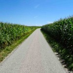 Weg zu Erntedank (16 von 18)