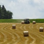 Weg zu Erntedank (3 von 18)