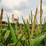 Weg zu Erntedank (5 von 18)