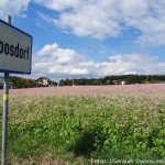 Blumenwiese rosa weiß (5 von 10)