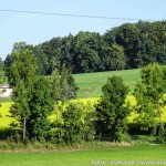 Moosdorf in Gelb (2 von 8)