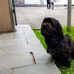 Warten vor dem Wahllokal (1 von 1)