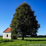 Weichsee Kapelle (1 von 9)