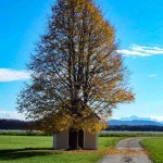 Weichsee Kapelle (2 von 9)