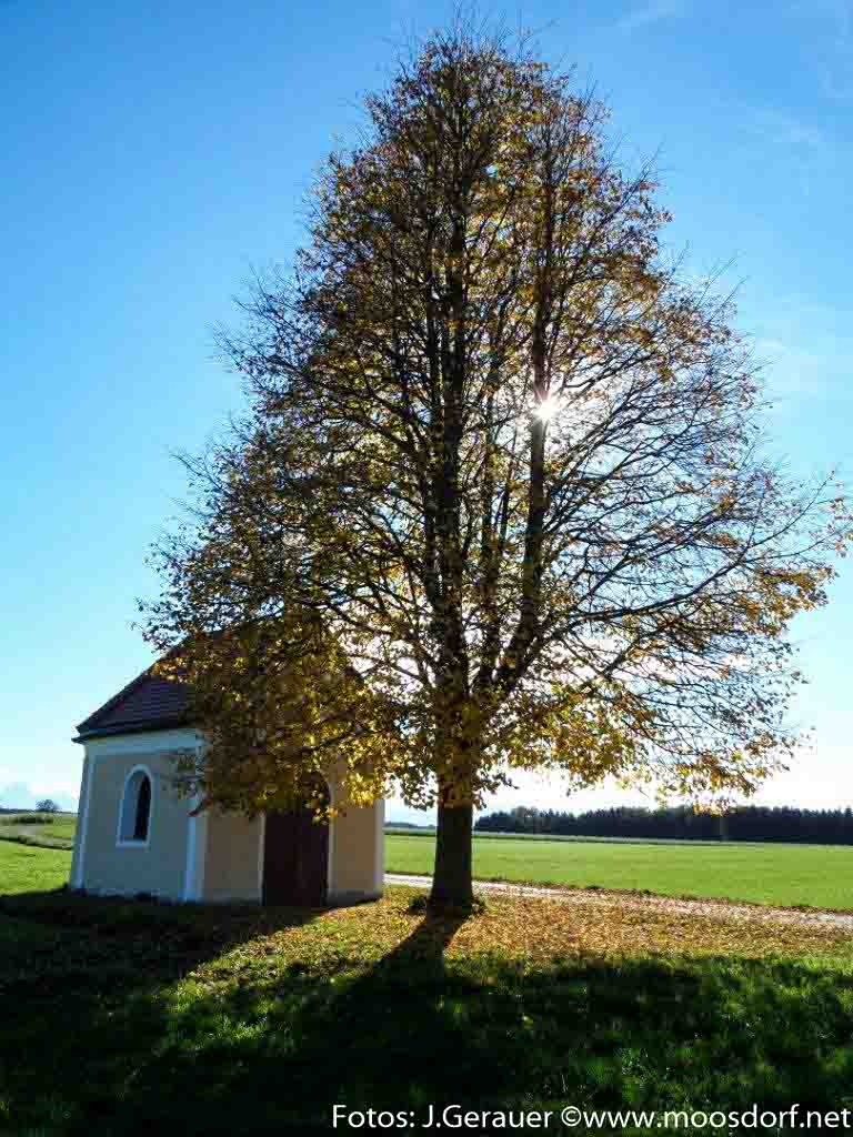 Weichsee Kapelle (4 von 9)