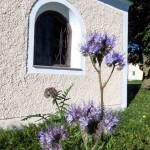 Weichsee Kapelle (6 von 9)