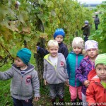 SANYO DIGITAL CAMERA