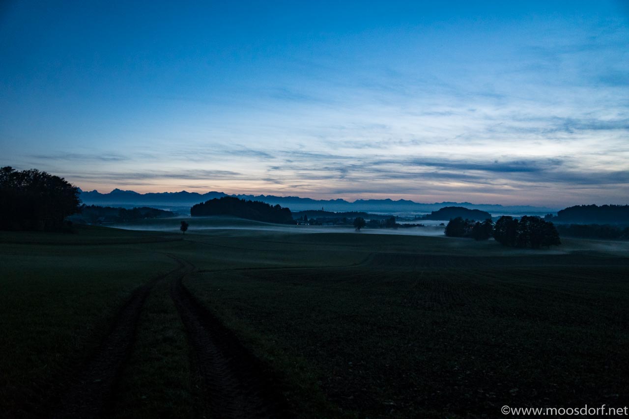 Moosdorf im Nebel (2 von 6)