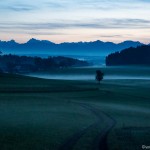 Moosdorf im Nebel (3 von 6)