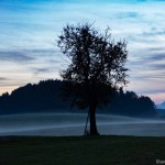 Moosdorf im Nebel (4 von 6)