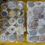 Betonkunst Ferienprogramm (5 von 11)