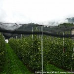 FF Ausflug 2015 (8 von 17)