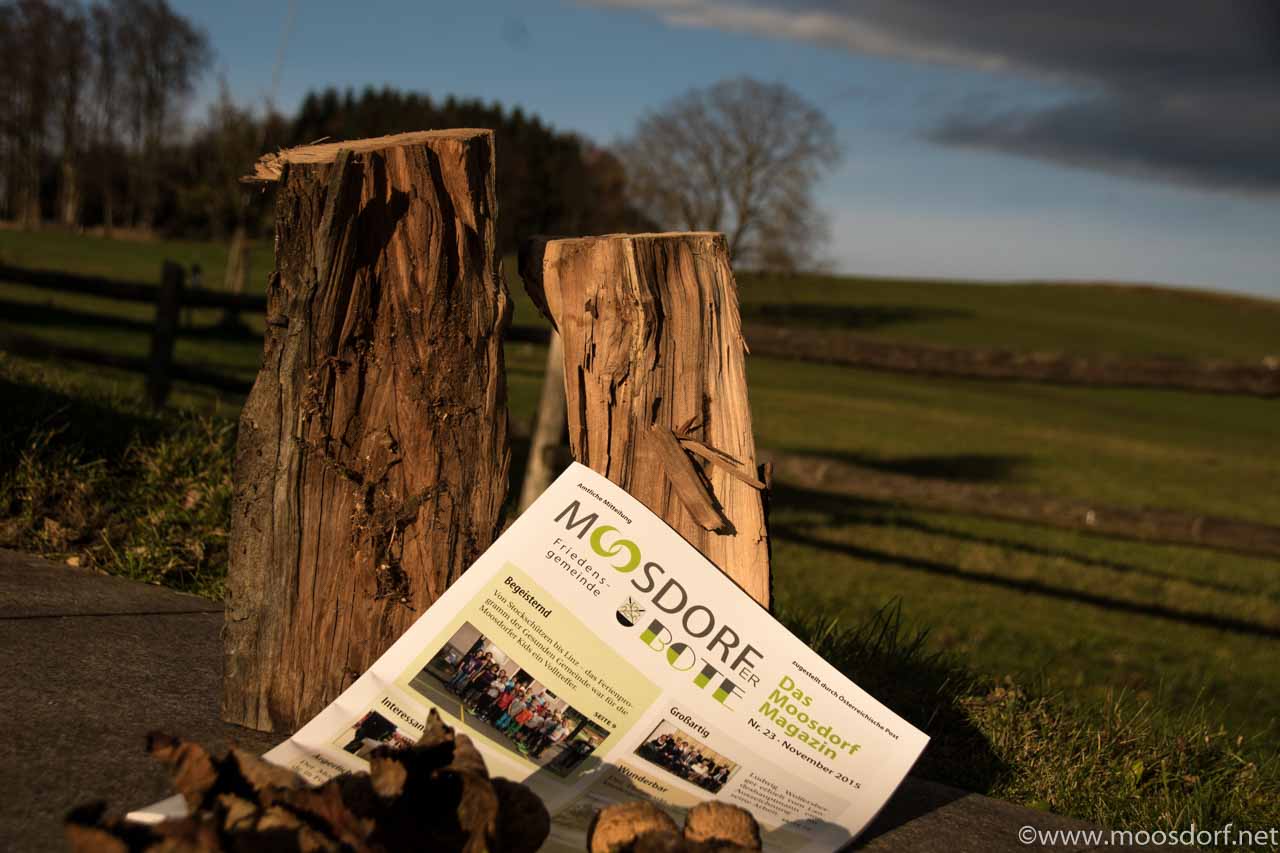 Herbstbote (1 von 1)