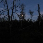 Moor Nacht Ferienprogramm GG (5 von 7)