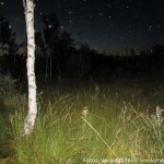 Moor Nacht Ferienprogramm GG (6 von 7)