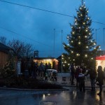 Nikolaus Hackenbuch (8 von 9)