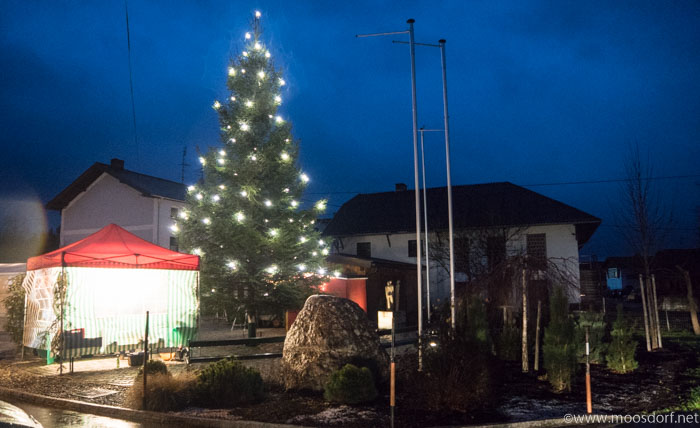 Nikolaus Hackenbuch (9 von 9)