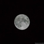 Moosdorfer Nacht (2 von 2)