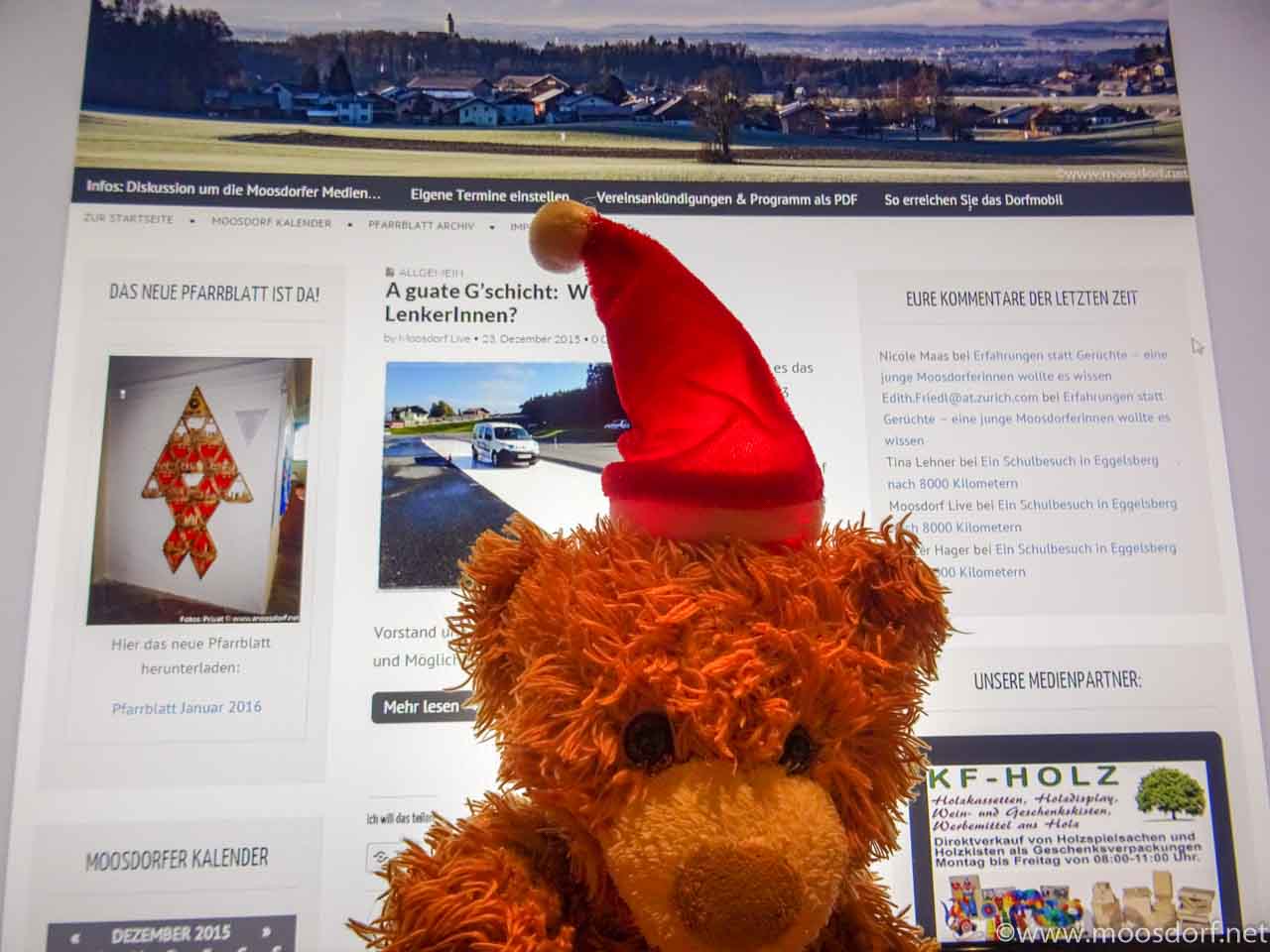 Weihnachtsbär (1 von 1)