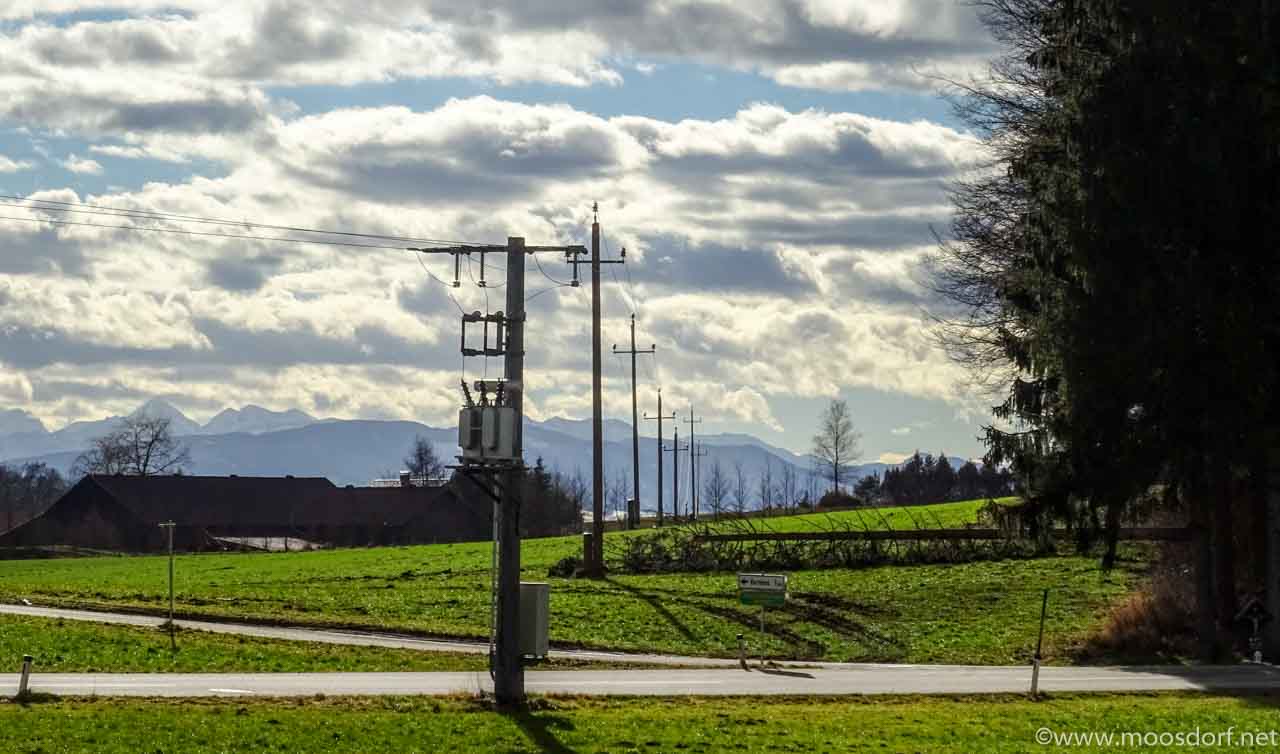 Strommast und Wald (1 von 1)